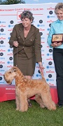 'Guinness' Winners Dog 2009 Montgomery Dog Show Wheaten Montgomery WD Guinness