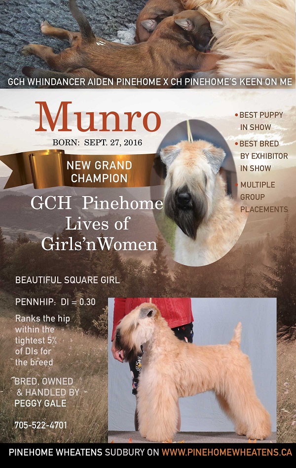 Munro Wags Ad